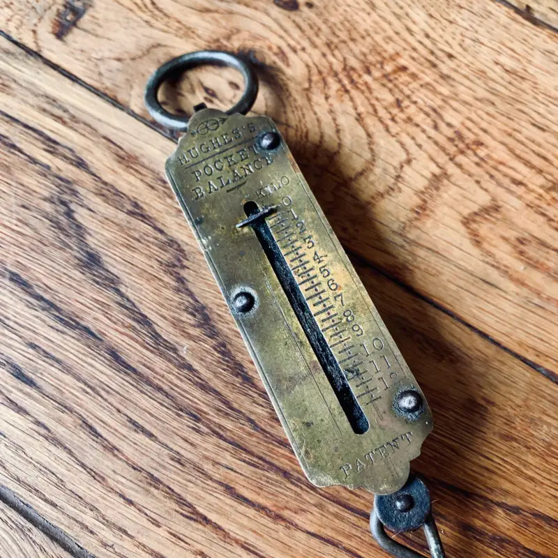 Bilancia a molla o strumento di pesatura d’epoca in ottone con gancio e indicatore scorrevole.