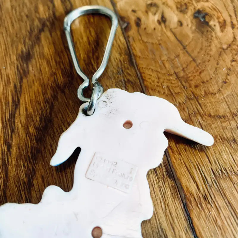 Linus Charlie Brown Portachiavi - USA 1952 - Portachiavi