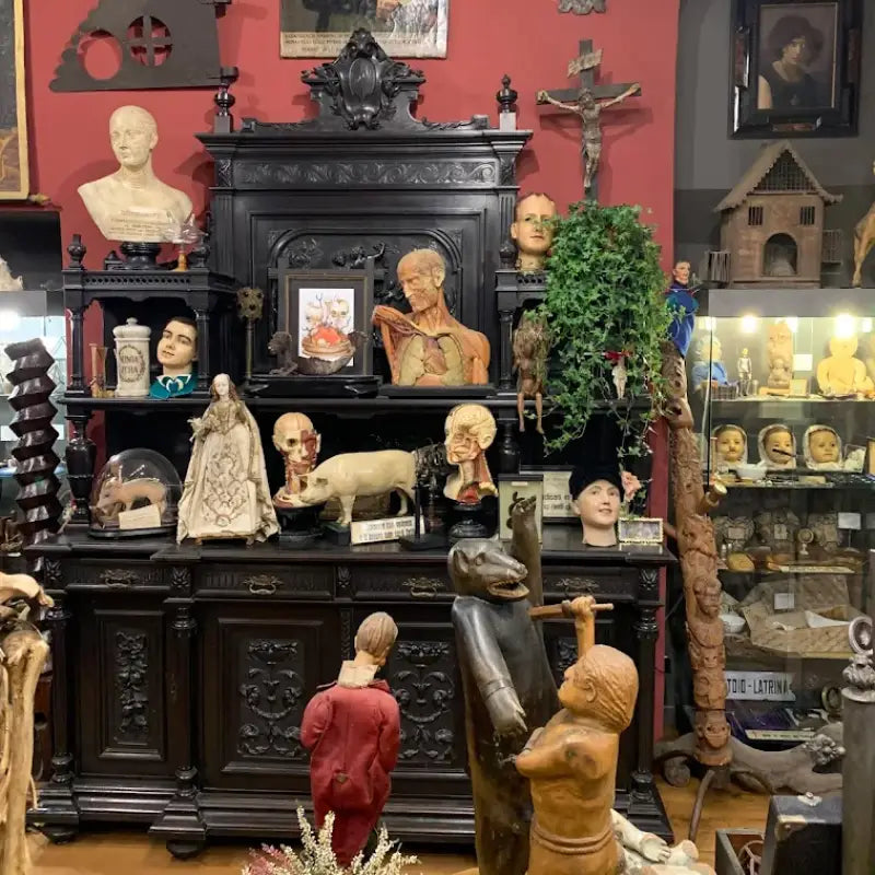 Nautilus Antiques - Negozi vintage