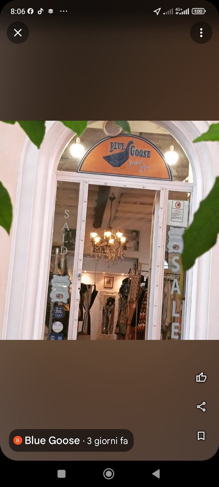 Blue Goose - negozio vintage a Roma (foto via Google Maps)