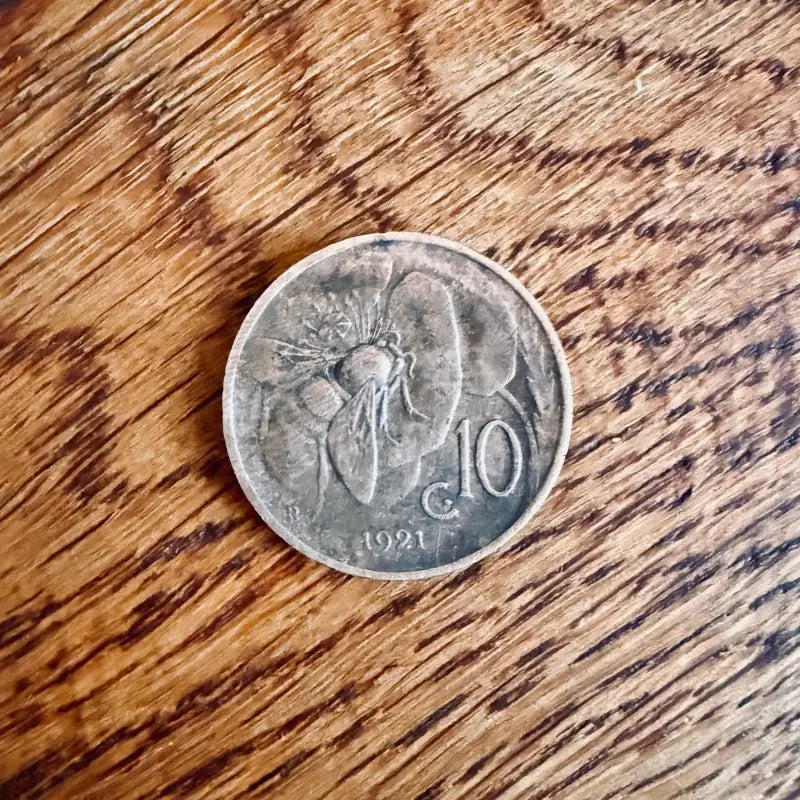 Vittorio Emanuele III Moneta 10 Centesimi Lire Api - Italia 1921 - Monete